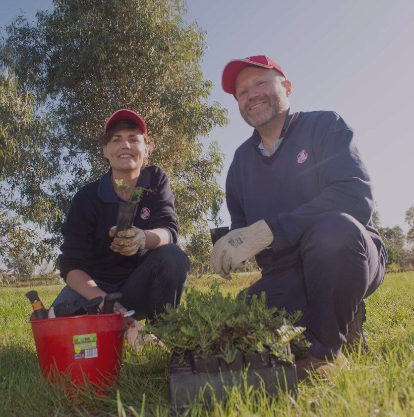 A Man and Woman Planting Plants